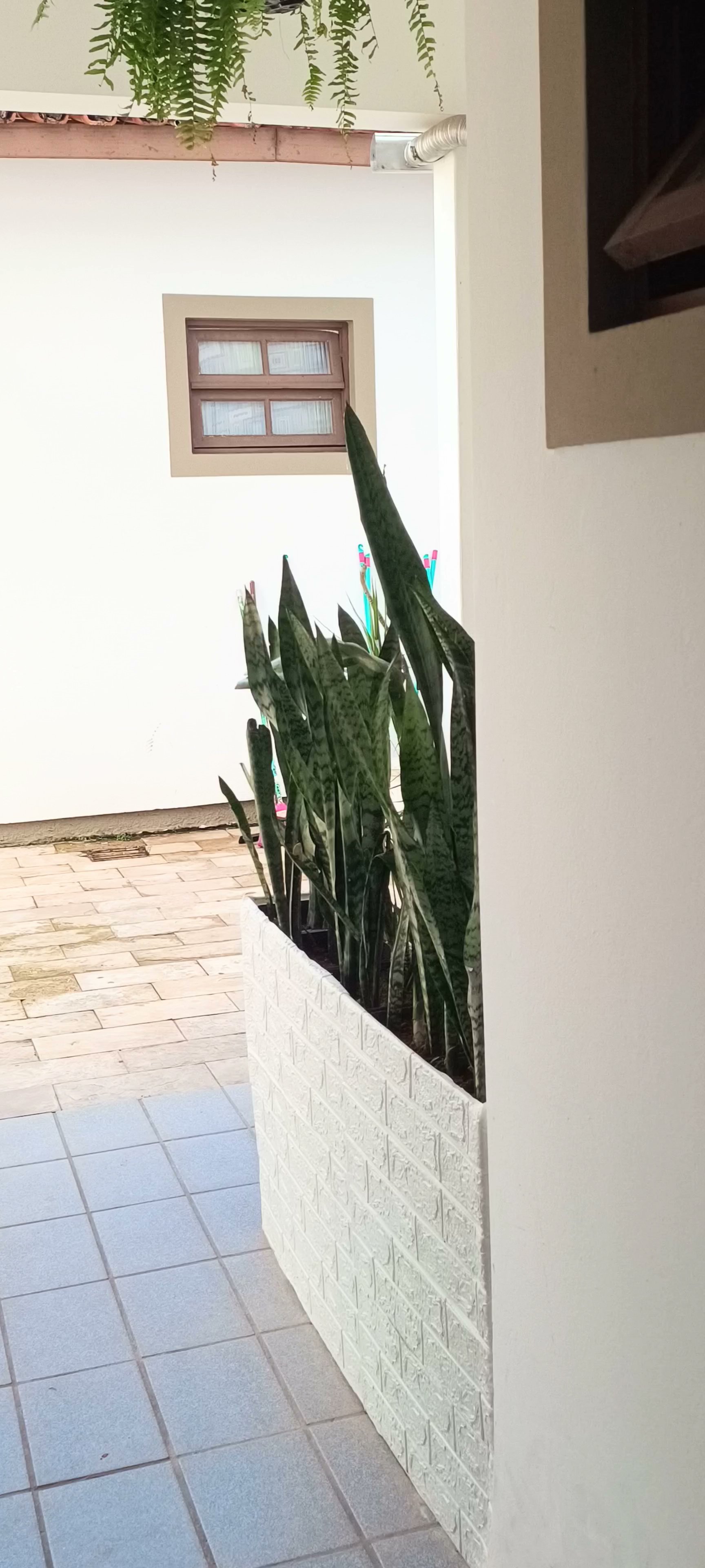 Áreas comuns da casa — Santa Mônica, Florianópolis