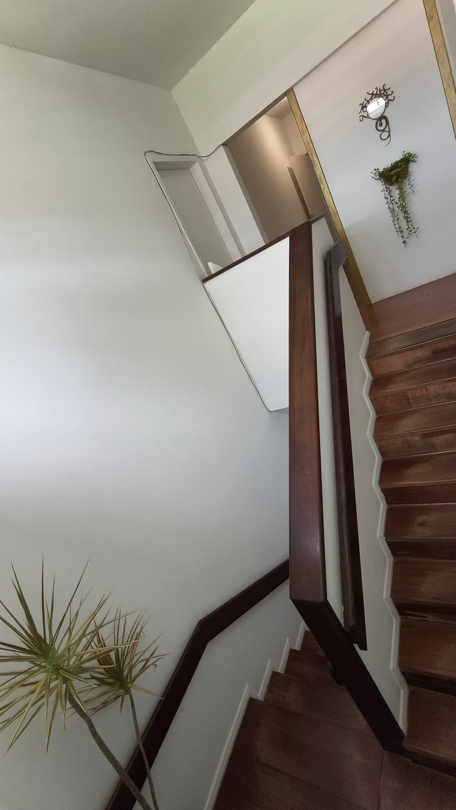 Star House, casa de coliving na Santa Mônica, Florianópolis, foto 25 de 26